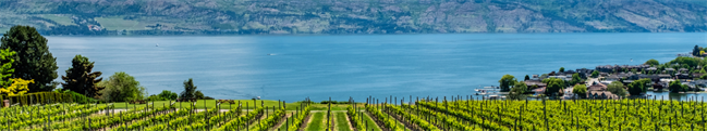 2026 Conference Banner Winery
