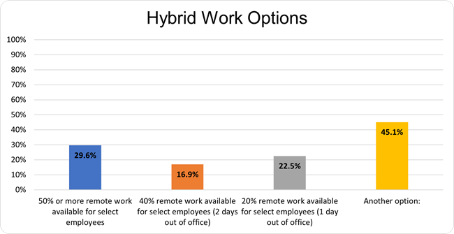 Figure 2 Hybrid Work Options