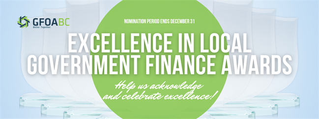 Excellence In Lg Finance Awards Banner